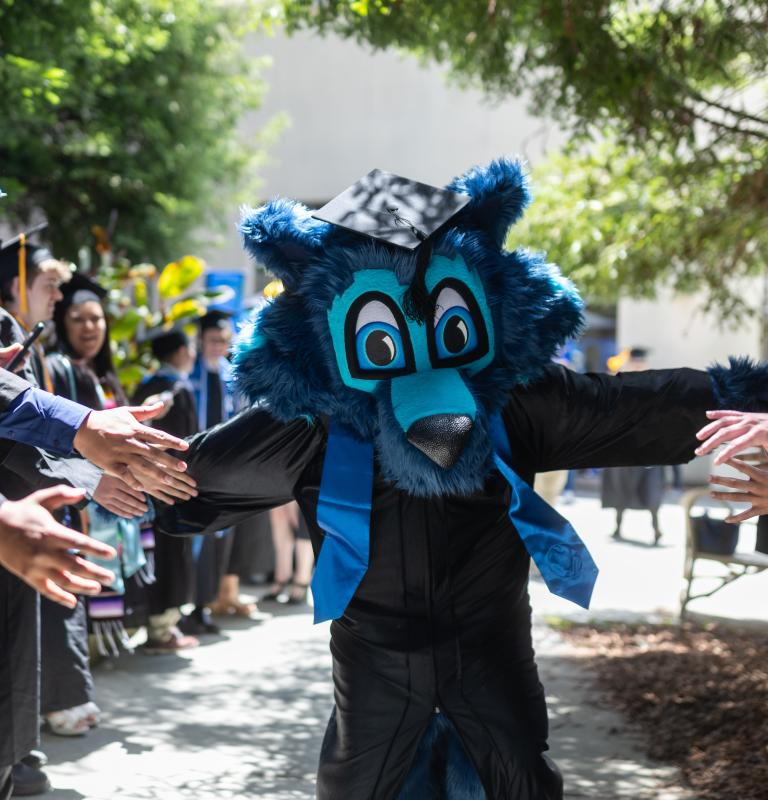 Lobo in graduation outfit