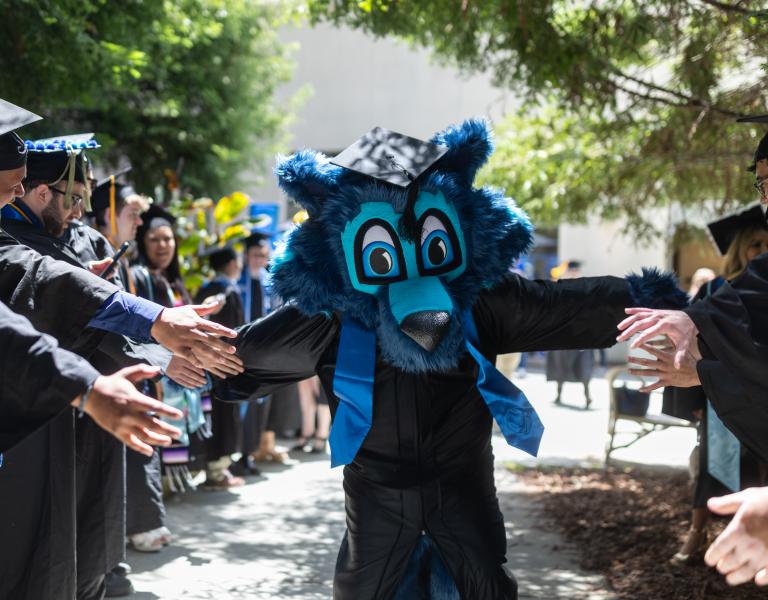 Lobo in graduation outfit